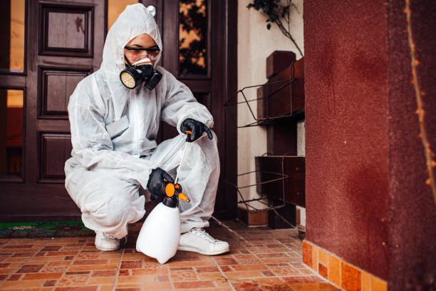 Attic and Crawl Space Rodent Treatment in Berlin